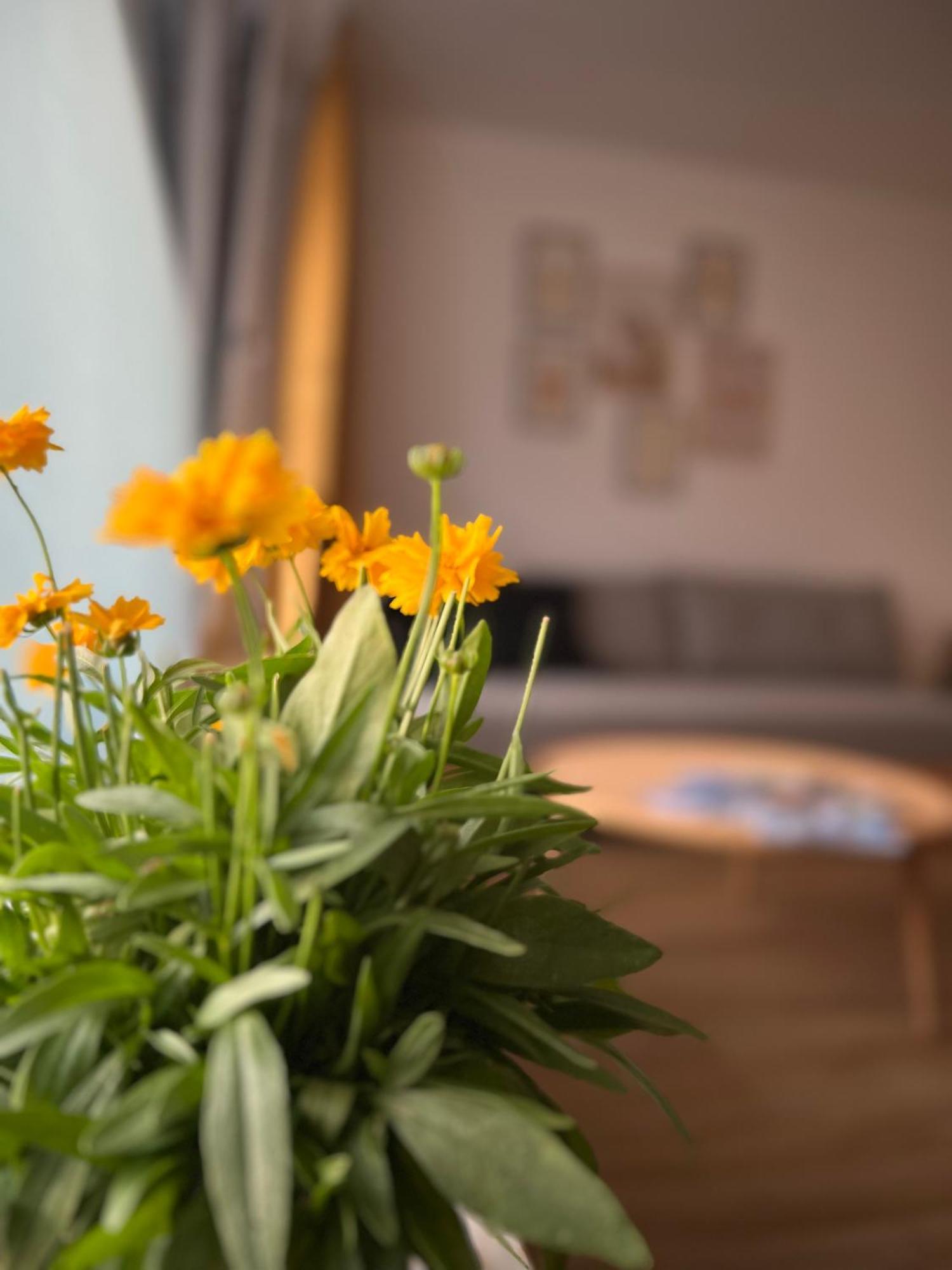 Ferienwohnung Sonneck Oberstaufen Exterior foto